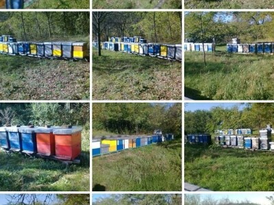 Ivica Ikić_ Nastavlja tradiciju svog oca dugu 38 godina