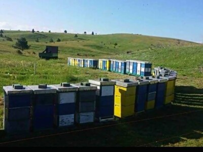 Ivica Ikić_ Nastavlja tradiciju svog oca dugu 38 godina