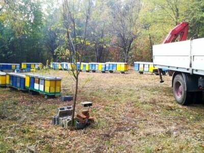 Ivica Ikić_ Nastavlja tradiciju svog oca dugu 38 godina