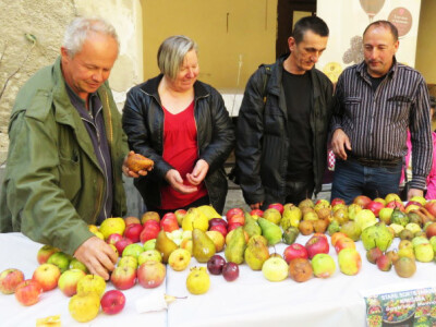 Ivica Kadić, čuvar starih sorti voća