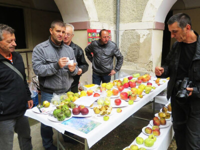 Ivica Kadić, čuvar starih sorti voća