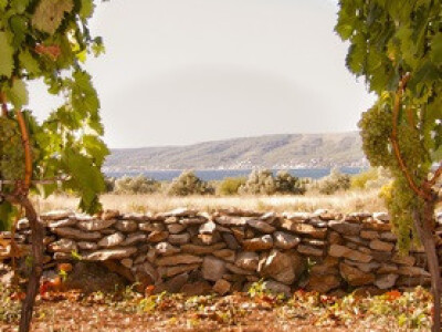 Izvor fotografije: Ivica Milan WEB arhiva Izvor fotografije: Ivica Milan WEB arhiva