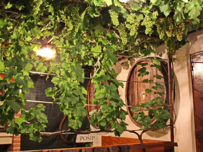 Izvor fotografije: Ivica Milan WEB arhiva Izvor fotografije: Ivica Milan WEB arhiva