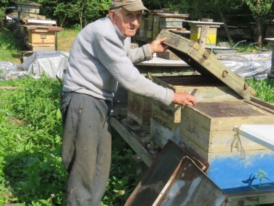 Ivo Banovčić Ivo Banovčić