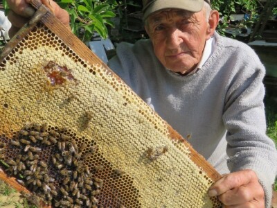 Ivo Banovčić Ivo Banovčić