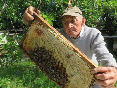 Ivo Banovčić Ivo Banovčić