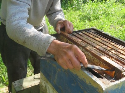 Ivo Banovčić Ivo Banovčić