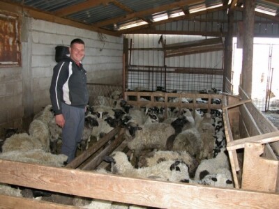 Oduševljeni Ivo Masle sa svojim janjcima