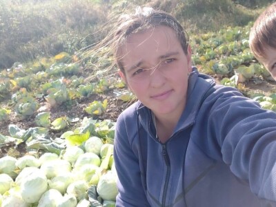 Iz bojazni da neće imati kome prodati kupus, proizvođači sami obaraju cijenu