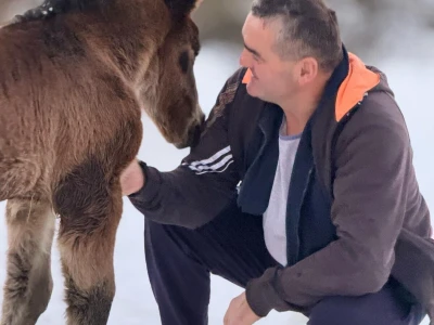 Iz evropskih štala do djedovine: Gazdinstvo Željka Zeca