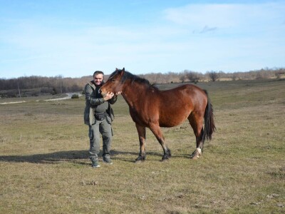 Iz evropskih štala do djedovine: Gazdinstvo Željka Zeca