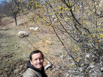 Izet Trnka: Ovčarima duguju poticaje za 2018., a to nisu svi problemi