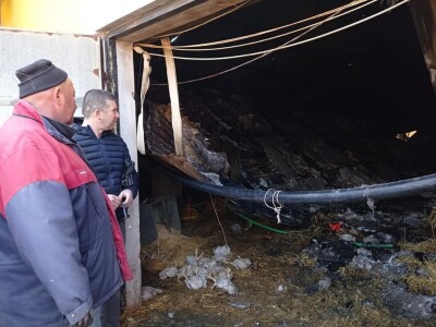 Izgorjela farma pilića, šteta 200.000 KM Izgorjela farma pilića, šteta 200.000 KM