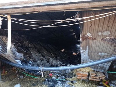 Izgorjela farma pilića, šteta 200.000 KM Izgorjela farma pilića, šteta 200.000 KM