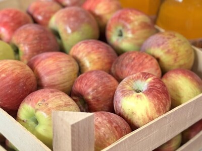 Izlagači na "Sajmu šljive"