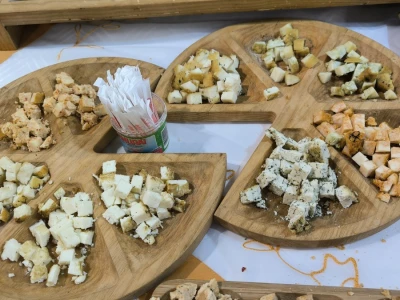 Izlagači na sajmu Viroexpo 2024