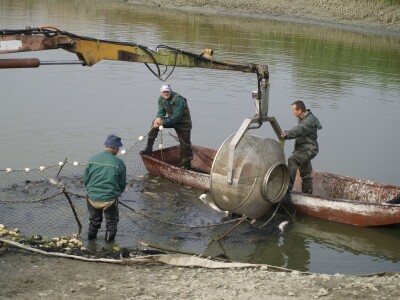 Izlov ribe PP Orhavica