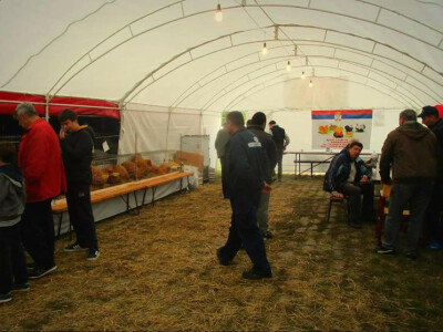 Posetioci izložbe u Obrenovcu Posetioci izložbe u Obrenovcu