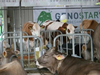 Izložba životinja