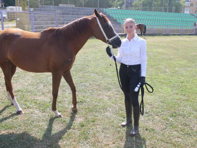 Prva izložba čistokrvih arapskih konja u BiH Prva izložba čistokrvih arapskih konja u BiH