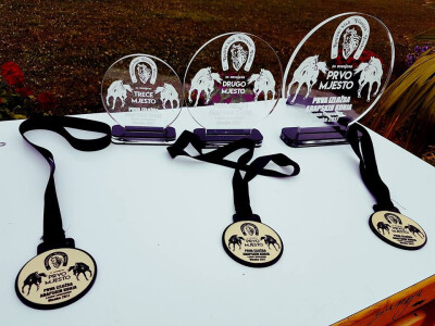 Prva izložba čistokrvih arapskih konja u BiH Prva izložba čistokrvih arapskih konja u BiH