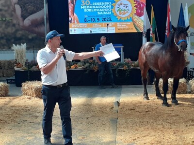 Izložba konja u Gudovcu