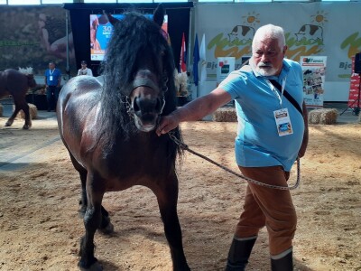 Izložba konja u Gudovcu