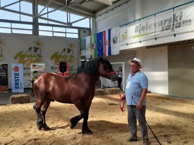 Izložba konja u Gudovcu