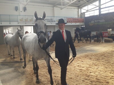 Izložba konja u Gudovcu