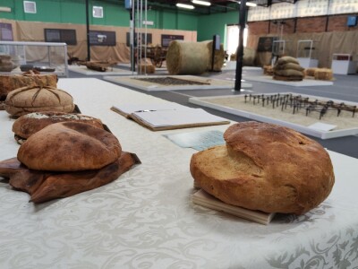 Izložba "Pšenica - Od njive do trpeze"