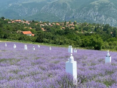 Skulpture "procvetale" u polju lavande