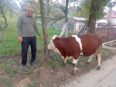 Izložba stočarstva "Gračanica-Doboj Istok 2025"