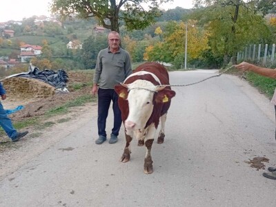 Izložba stočarstva "Gračanica-Doboj Istok 2025"