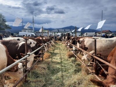 Izložba stočarstva "Gračanica-Doboj Istok 2025"