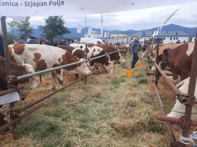 Izložba stočarstva "Gračanica-Doboj Istok 2025"