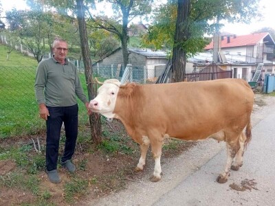 Izložba stočarstva "Gračanica-Doboj Istok 2025"