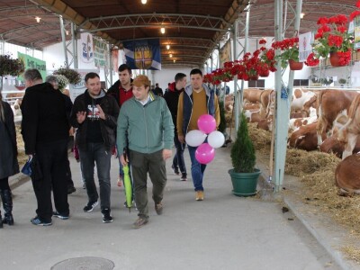 Izložba stoke na poljoprivrednom sajmu u Novom Sadu