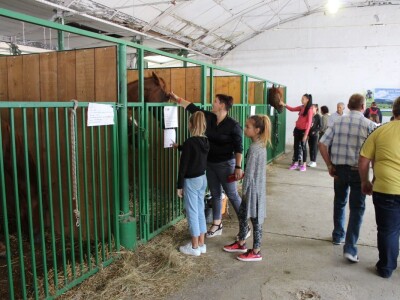 Izložba stoke na sajmu u Gudovcu