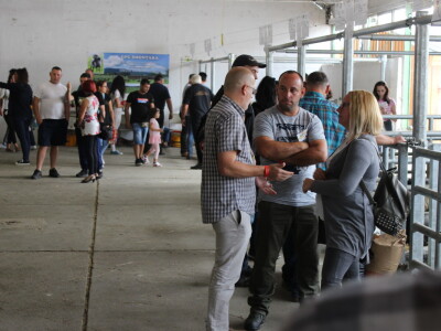 Izložba stoke na sajmu u Gudovcu