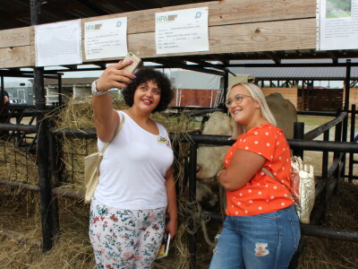 Izložba stoke na sajmu u Gudovcu