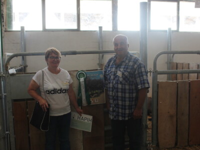 Izložba svinja autohtonih pasmina