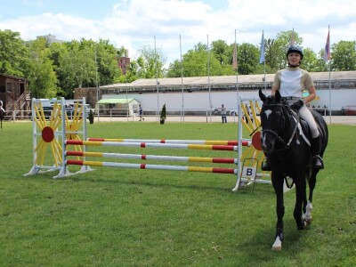 Izložba životinja na poljoprivrednom sajmu u Novom Sadu
