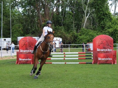 Izložba životinja na poljoprivrednom sajmu u Novom Sadu