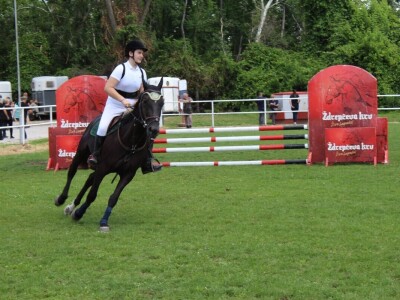 Izložba životinja na poljoprivrednom sajmu u Novom Sadu