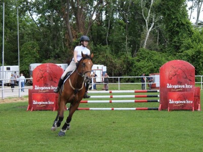Izložba životinja na poljoprivrednom sajmu u Novom Sadu