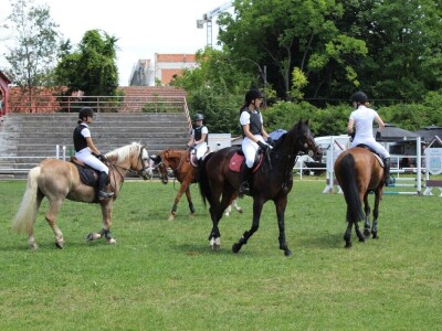 Izložba životinja na poljoprivrednom sajmu u Novom Sadu