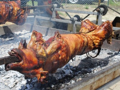 Izložba životinja na poljoprivrednom sajmu u Novom Sadu