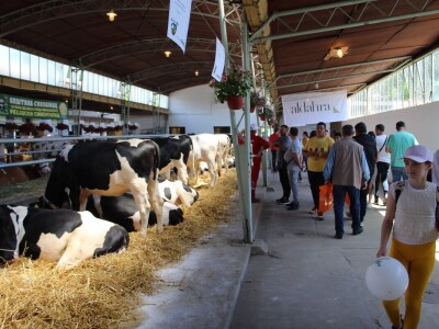 Izložba životinja na poljoprivrednom sajmu u Novom Sadu