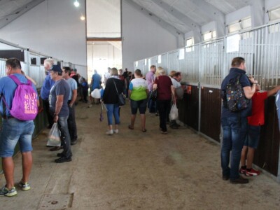 Izložba životinja na sajmu u Gornjoj Radgoni