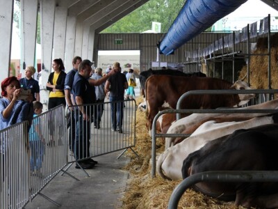 Izložba životinja na sajmu u Gornjoj Radgoni